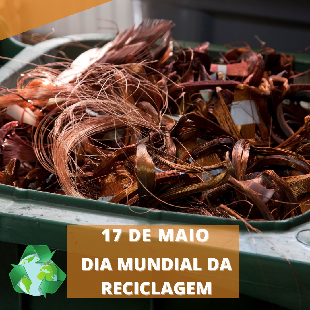17 de Maio: Dia Internacional da Reciclagem